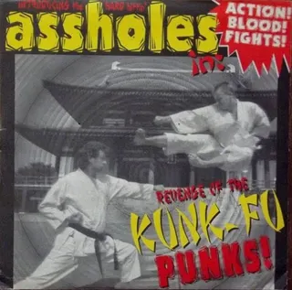 Revenge Of The Kung-fu Punks!