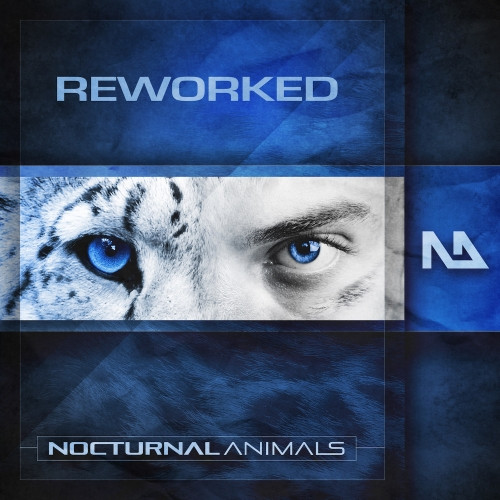 Nocturnal Animals Reworked