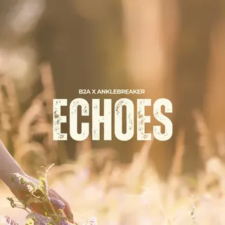 Echoes
