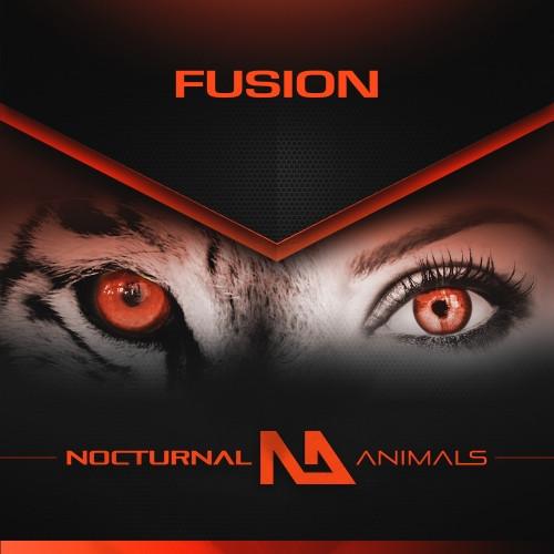 Nocturnal Animals Fusion
