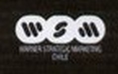 Warner Strategic Marketing Chile